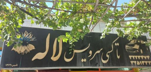 عکس تاکسی سرویس لاله