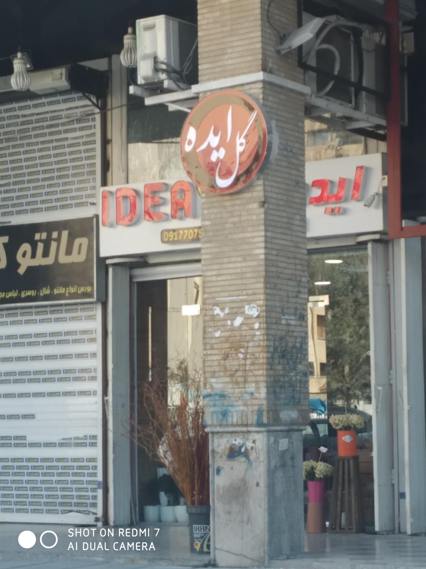 عکس گل ایده