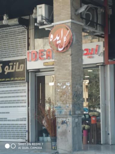 عکس گل ایده