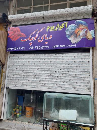 عکس آکواریوم دریای کوچک