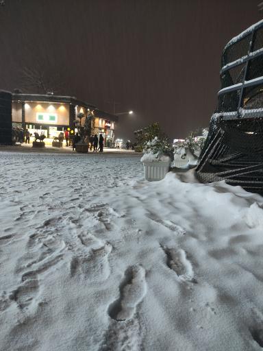 عکس سورتمه توچال