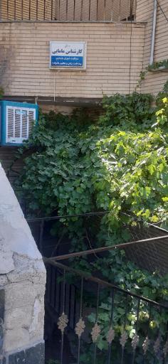 عکس مطب مامایی