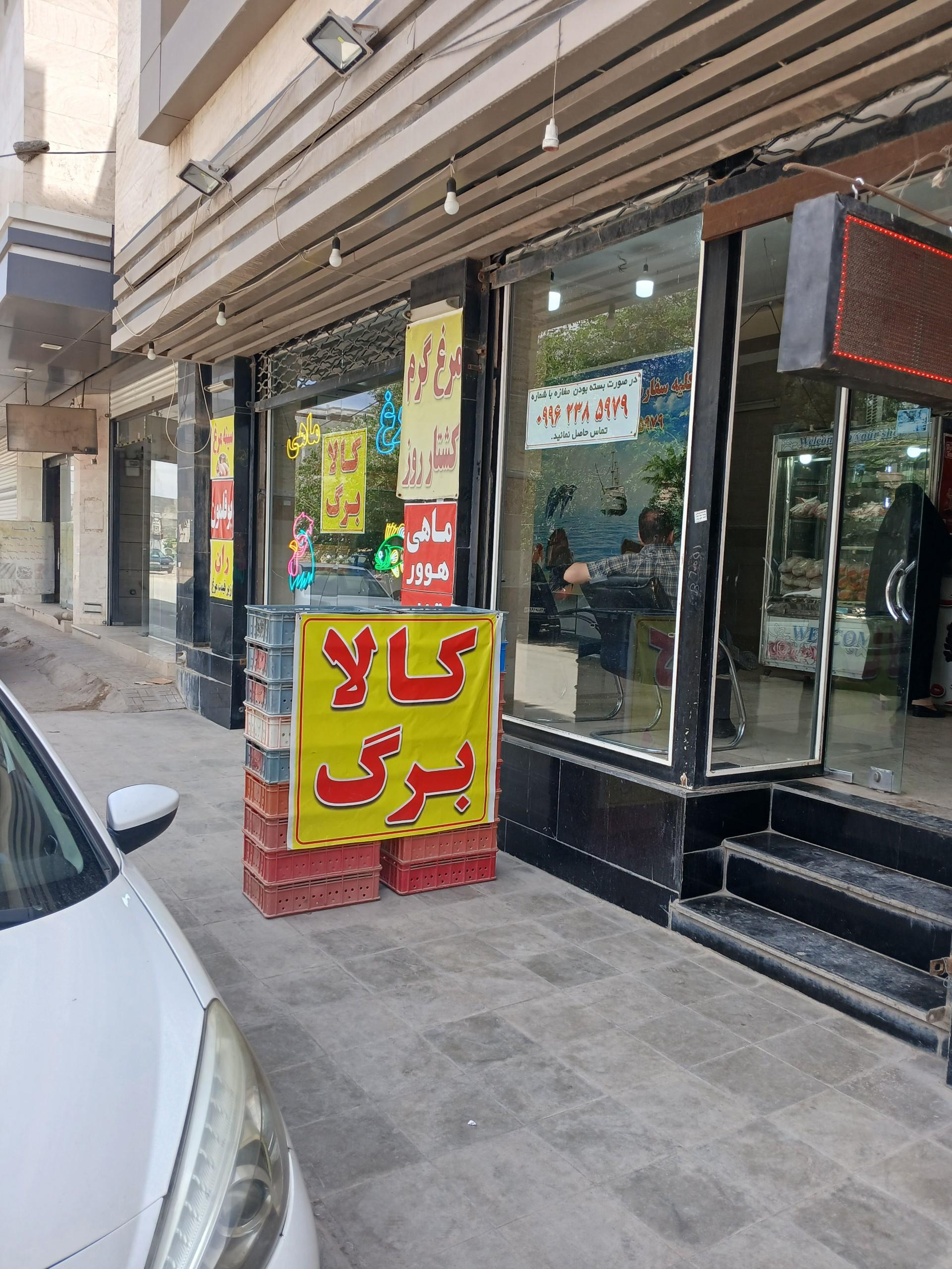 عکس مرغ فروشی توتیا