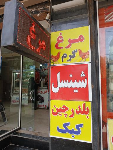 عکس مرغ فروشی توتیا