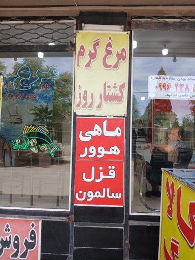 عکس مرغ فروشی توتیا