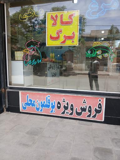 عکس مرغ فروشی توتیا