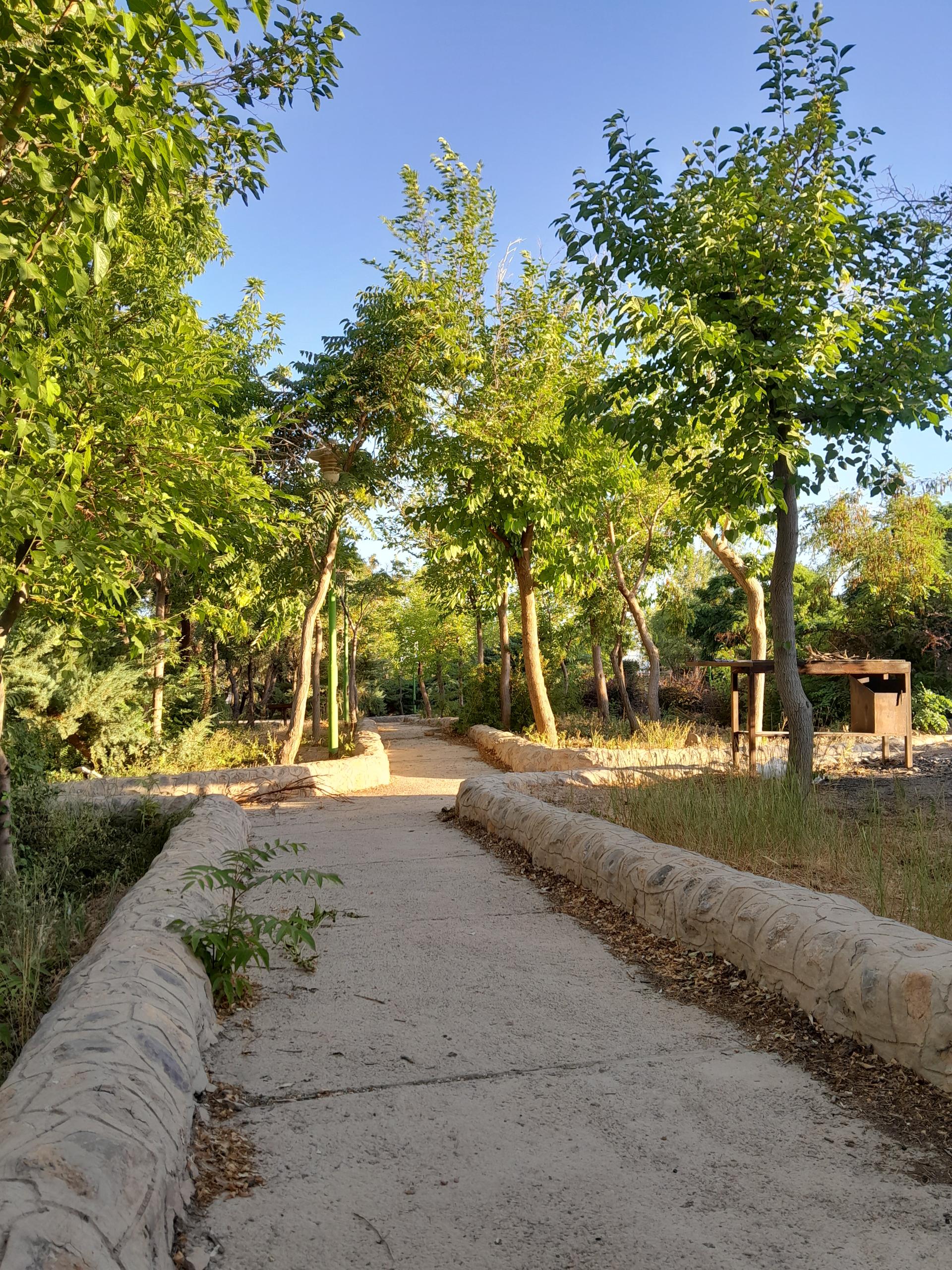 عکس پارک جنگلی و آلاچیق