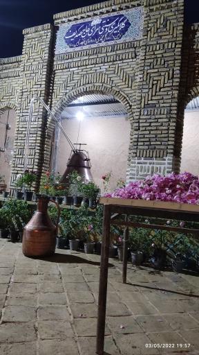 عکس گلاب گیری حاج صدیف