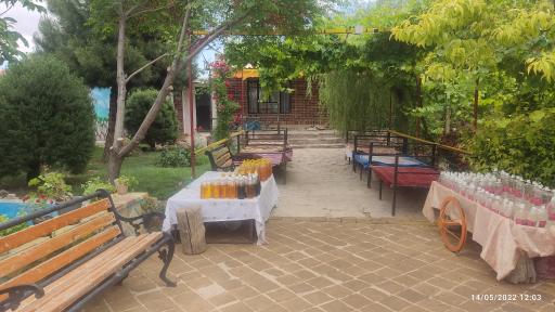 عکس گلاب گیری حاج صدیف