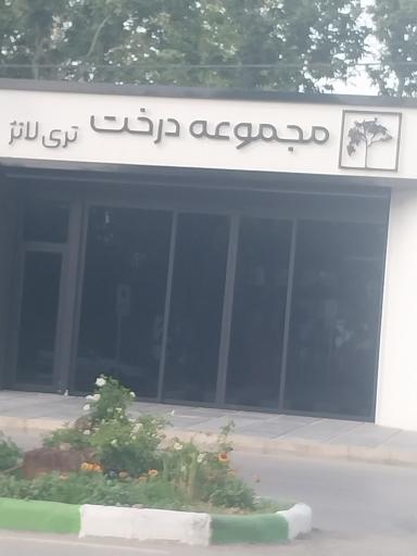 عکس مجموعه درخت