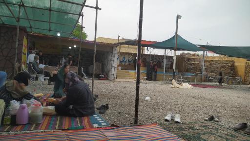 عکس گلاب گیری حاج صدیف