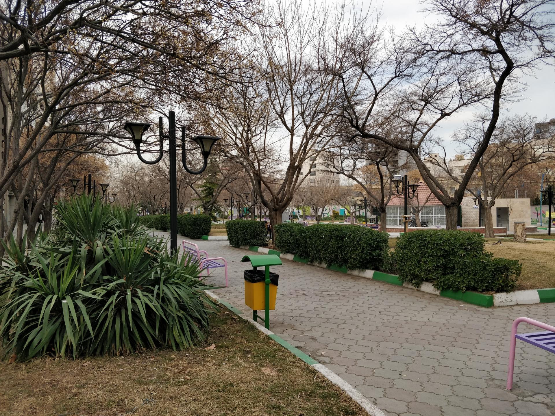 عکس بوستان جامی