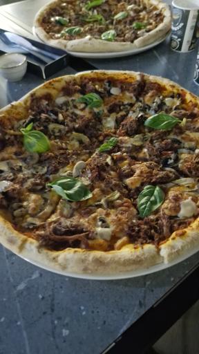 عکس مجموعه درخت