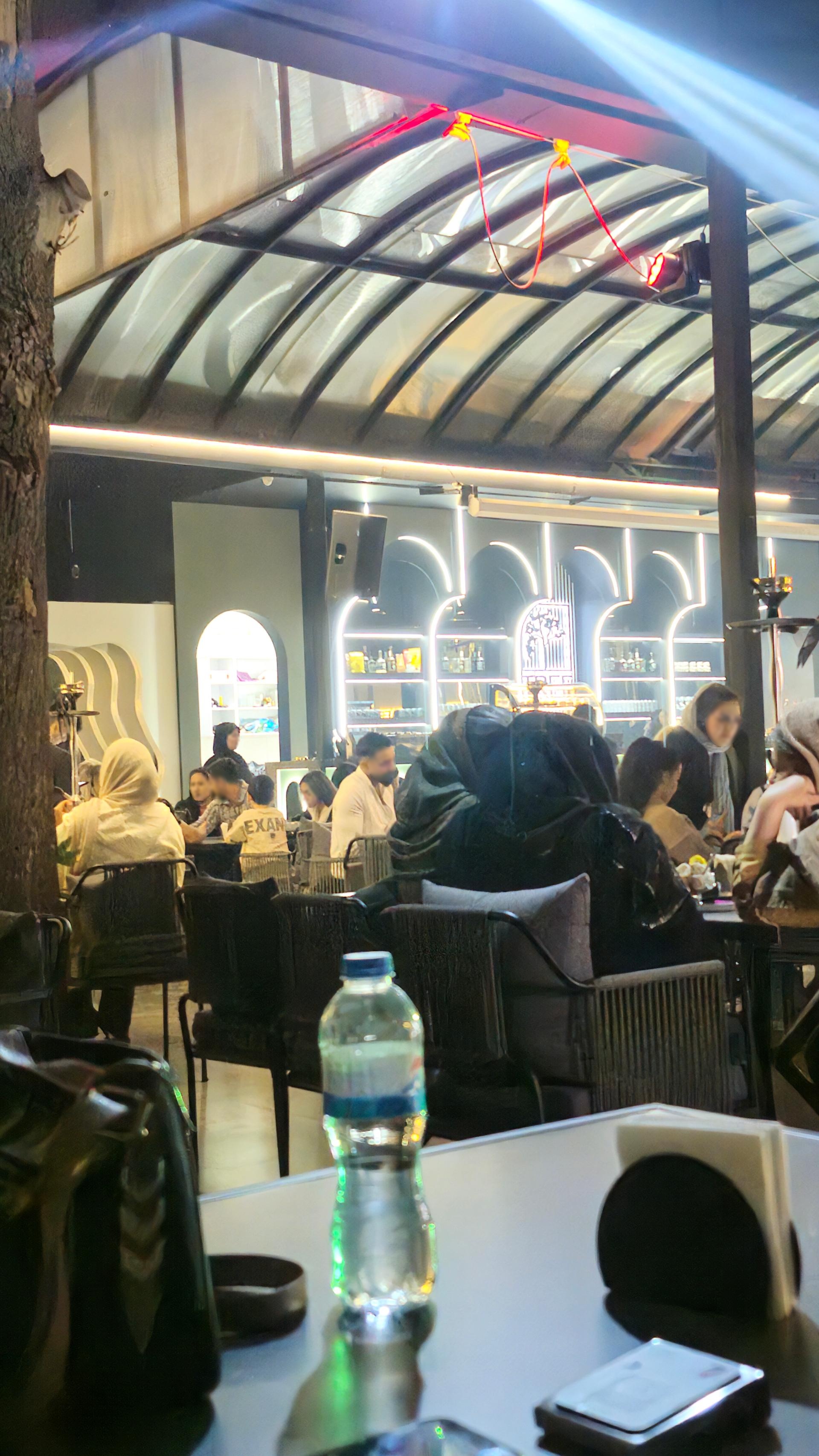 عکس مجموعه درخت