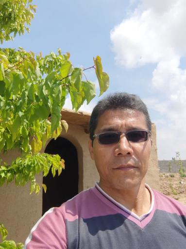 عکس گلاب گیری حاج صدیف