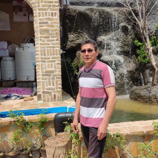 عکس گلاب گیری حاج صدیف