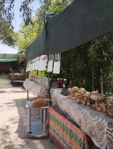 عکس گلاب گیری حاج صدیف