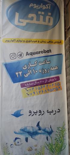 عکس آکواریوم و ماهی های زینتی (فتحی)