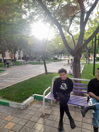 عکس بوستان جامی