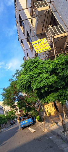 عکس لارآ داربست