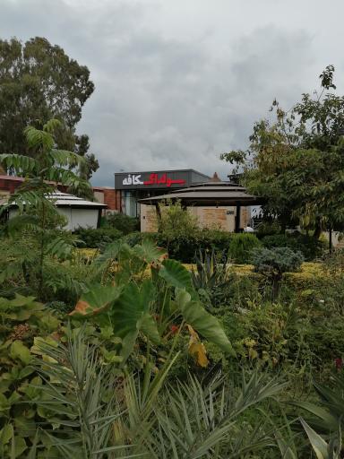 عکس بولداگ کافه