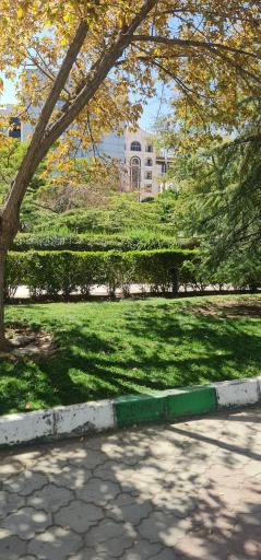 عکس بوستان جامی