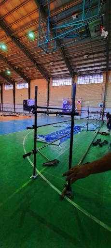 عکس لارآ داربست