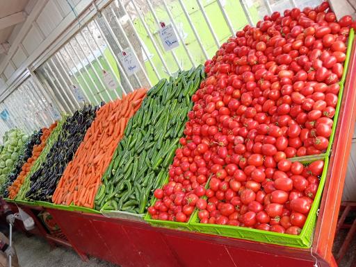 عکس بازار میوه و تره بار شهرداری
