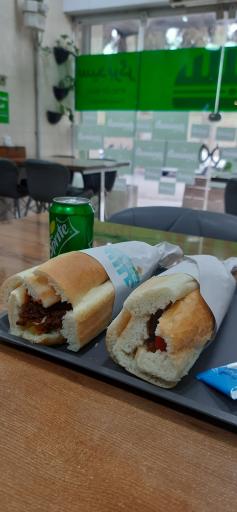 عکس سید برگر