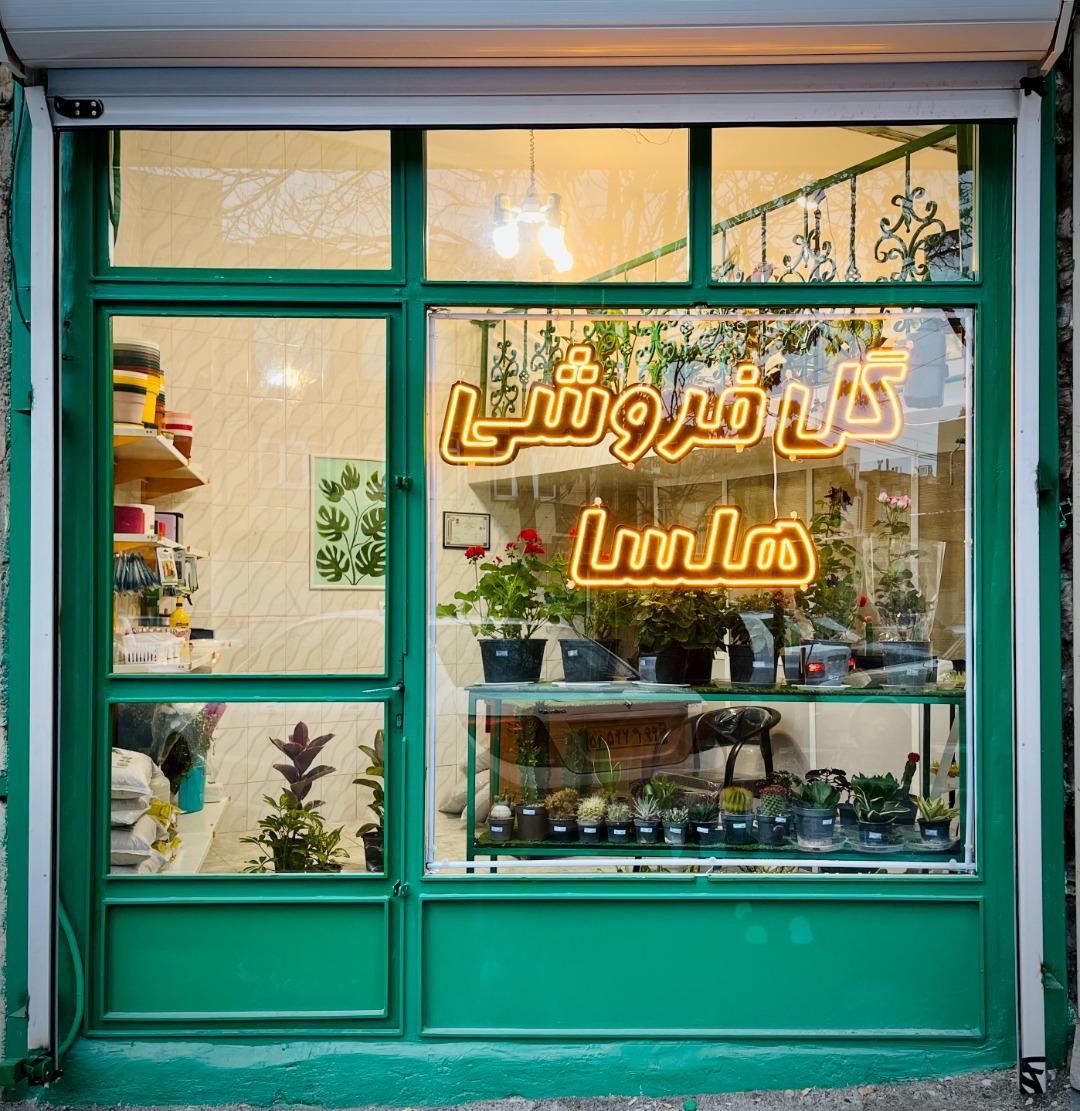 عکس گل و گیاه هلسا