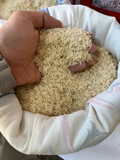 عکس بازرگانی برنج اهورامزدا