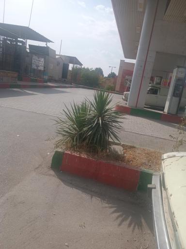 عکس پمپ گاز CNG پارک ملت