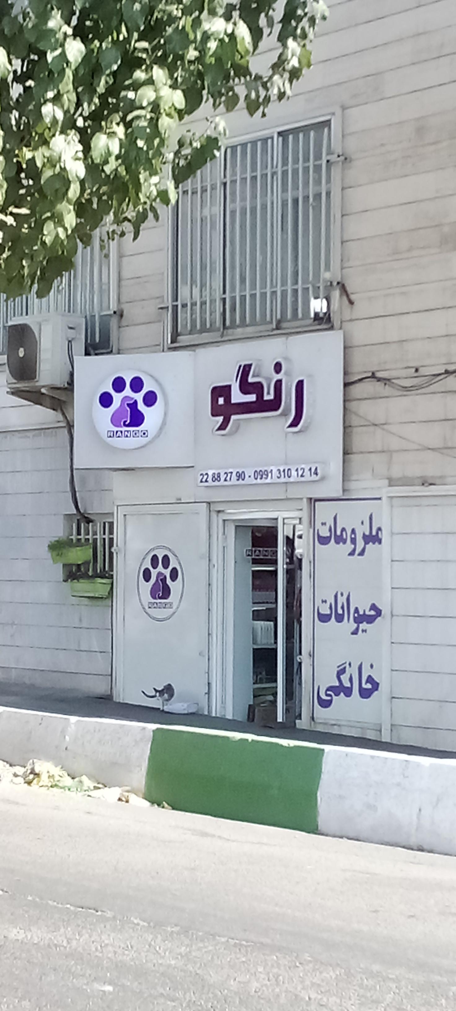 عکس پت شاپ رنگو