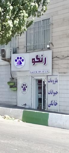 عکس پت شاپ رنگو