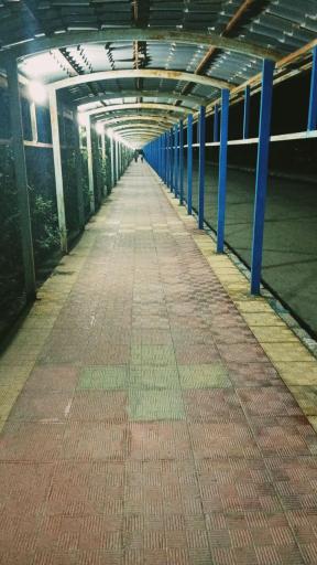 عکس دانشکده علوم دریایی و اقیانوسی