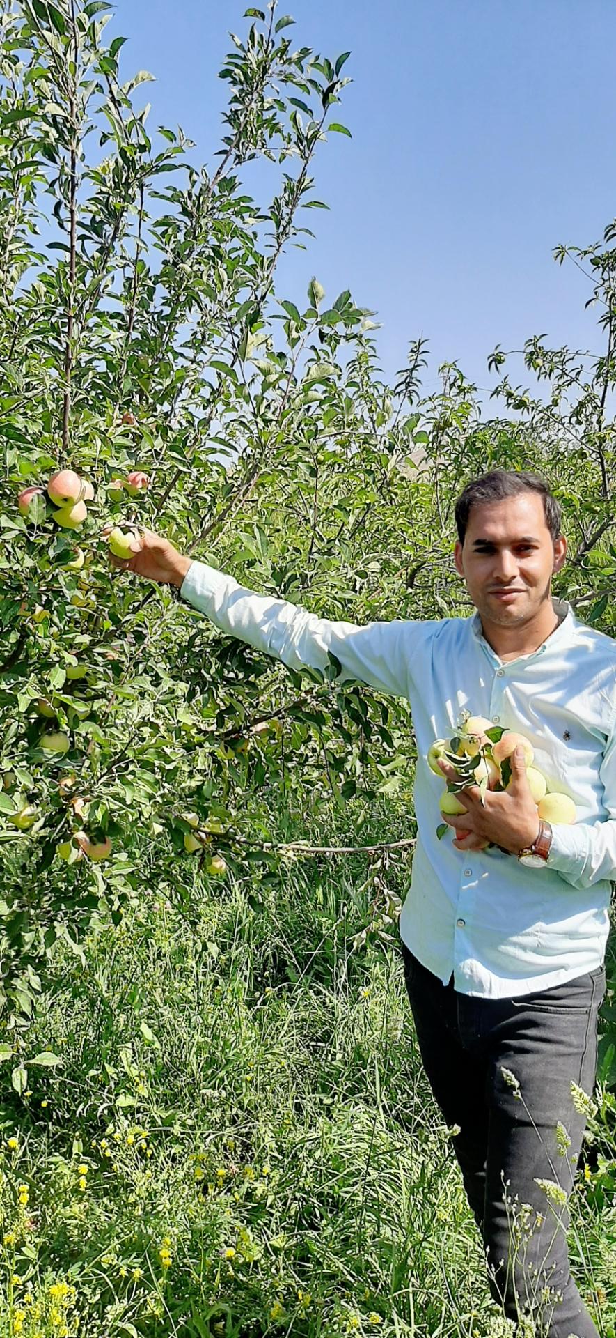 عکس باغ کریم رحمانی واحد