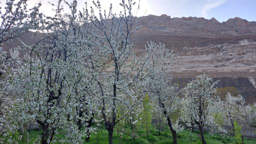 عکس روستای سنگان