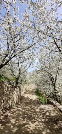 عکس روستای سنگان