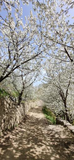 عکس روستای سنگان