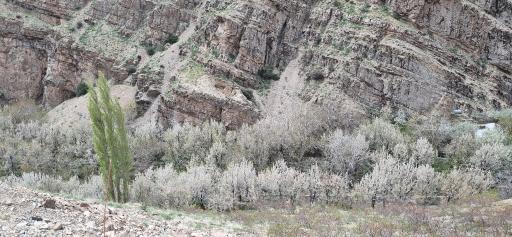 عکس روستای سنگان
