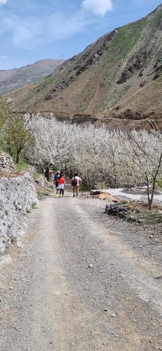 عکس روستای سنگان