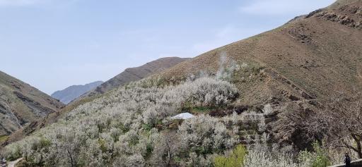 عکس روستای سنگان