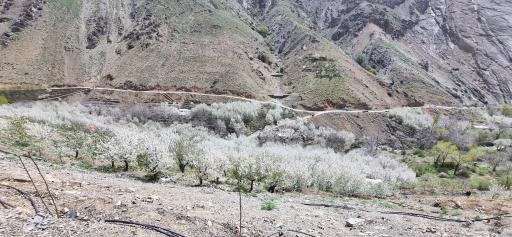 عکس روستای سنگان