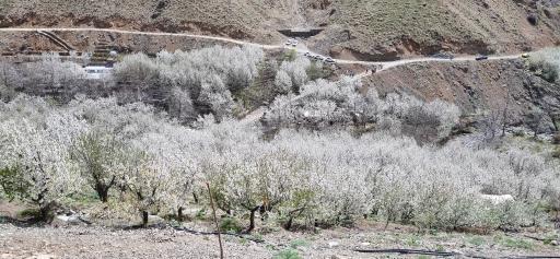عکس روستای سنگان