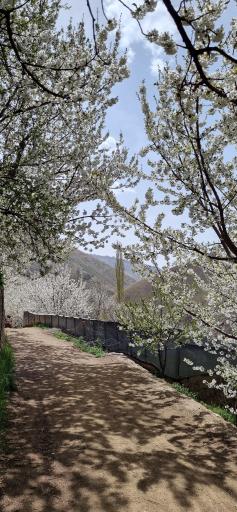 عکس روستای سنگان