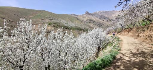 عکس روستای سنگان