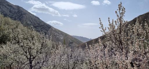عکس روستای سنگان