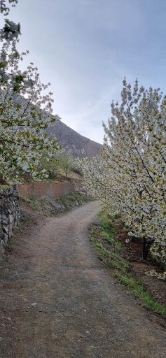 عکس روستای سنگان