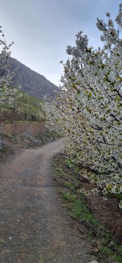 عکس روستای سنگان