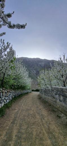 عکس روستای سنگان